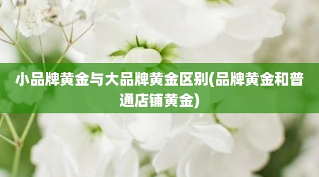 小品牌黄金与大品牌黄金区别(品牌黄金和普通店铺黄金)