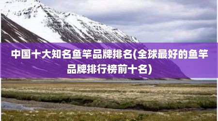 中国十大知名鱼竿品牌排名(全球最好的鱼竿品牌排行榜前十名)