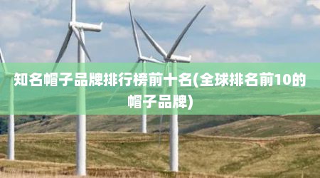 知名帽子品牌排行榜前十名(全球排名前10的帽子品牌)
