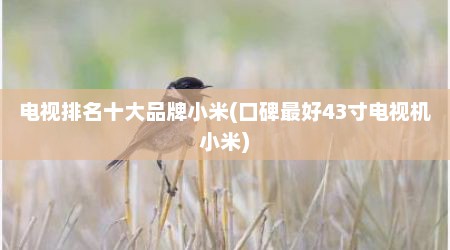 电视排名十大品牌小米(口碑最好43寸电视机小米)
