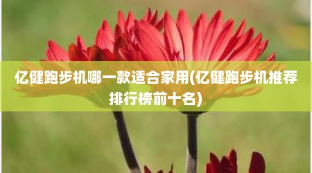 亿健跑步机哪一款适合家用(亿健跑步机推荐排行榜前十名)