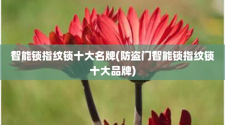 智能锁指纹锁十大名牌(防盗门智能锁指纹锁十大品牌)