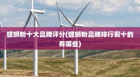 螺蛳粉十大品牌评分(螺蛳粉品牌排行前十的有哪些)