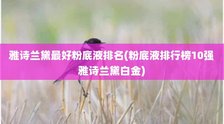 雅诗兰黛最好粉底液排名(粉底液排行榜10强雅诗兰黛白金)