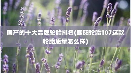 国产的十大品牌轮胎排名(朝阳轮胎107这款轮胎质量怎么样)