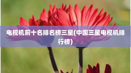 电视机前十名排名榜三星(中国三星电视机排行榜)