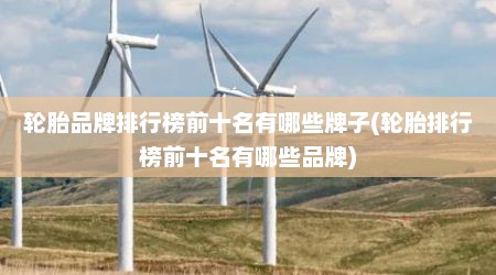 轮胎品牌排行榜前十名有哪些牌子(轮胎排行榜前十名有哪些品牌)