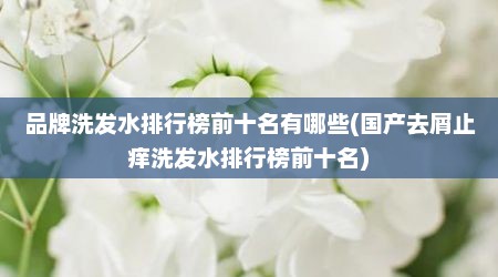 品牌洗发水排行榜前十名有哪些(国产去屑止痒洗发水排行榜前十名)