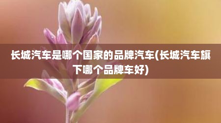 长城汽车是哪个国家的品牌汽车(长城汽车旗下哪个品牌车好)