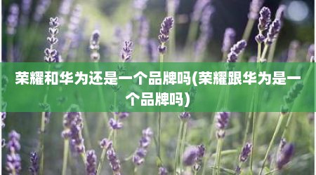荣耀和华为还是一个品牌吗(荣耀跟华为是一个品牌吗)