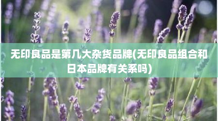 无印良品是第几大杂货品牌(无印良品组合和日本品牌有关系吗)