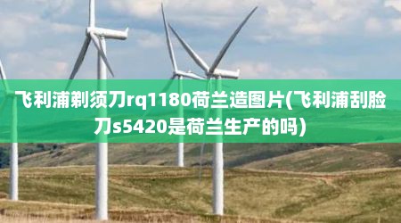 飞利浦剃须刀rq1180荷兰造图片(飞利浦刮脸刀s5420是荷兰生产的吗)