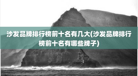 沙发品牌排行榜前十名有几大(沙发品牌排行榜前十名有哪些牌子)