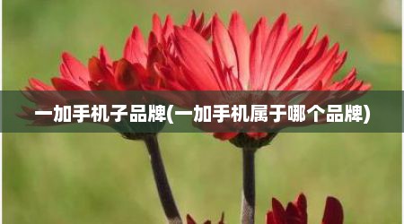 一加手机子品牌(一加手机属于哪个品牌)