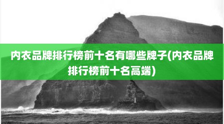 内衣品牌排行榜前十名有哪些牌子(内衣品牌排行榜前十名高端)