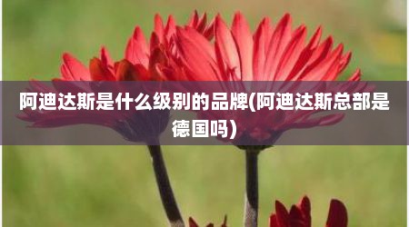 阿迪达斯是什么级别的品牌(阿迪达斯总部是德国吗)