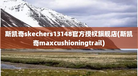 斯凯奇skechers13148官方授权旗舰店(斯凯奇maxcushioningtrail)