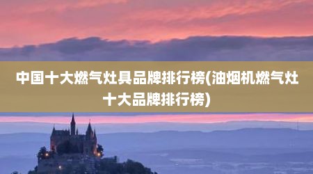 中国十大燃气灶具品牌排行榜(油烟机燃气灶十大品牌排行榜)