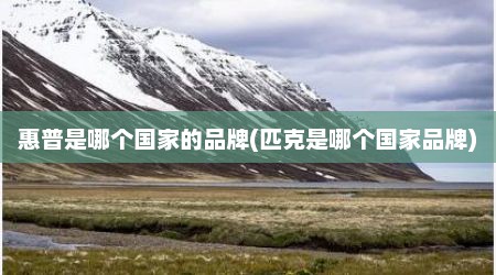 惠普是哪个国家的品牌(匹克是哪个国家品牌)