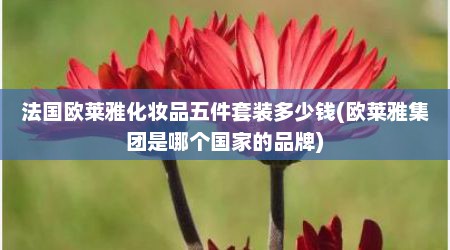 法国欧莱雅化妆品五件套装多少钱(欧莱雅集团是哪个国家的品牌)
