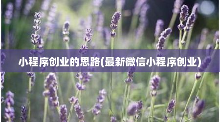 小程序创业的思路(最新微信小程序创业)