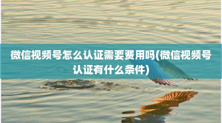 微信视频号怎么认证需要费用吗(微信视频号认证有什么条件)