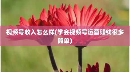 视频号收入怎么样(学会视频号运营赚钱很多简单)