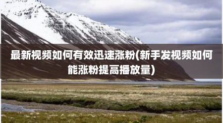 最新视频如何有效迅速涨粉(新手发视频如何能涨粉提高播放量)