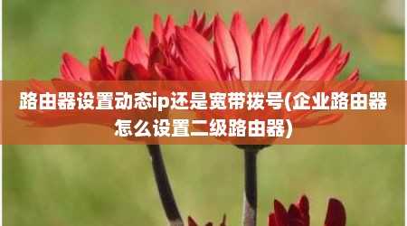 路由器设置动态ip还是宽带拨号(企业路由器怎么设置二级路由器)
