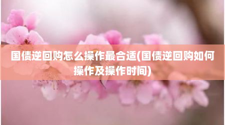 国债逆回购怎么操作最合适(国债逆回购如何操作及操作时间)