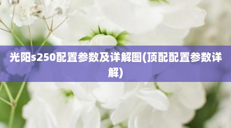 光阳s250配置参数及详解图(顶配配置参数详解)