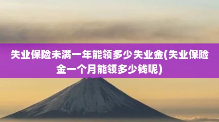失业保险未满一年能领多少失业金(失业保险金一个月能领多少钱呢)