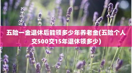 五险一金退休后能领多少年养老金(五险个人交500交15年退休领多少)