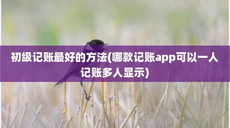 初级记账最好的方法(哪款记账app可以一人记账多人显示)