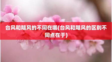 台风和飓风的不同在哪(台风和飓风的区别不同点在于)