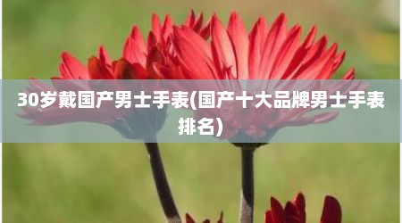 30岁戴国产男士手表(国产十大品牌男士手表排名)