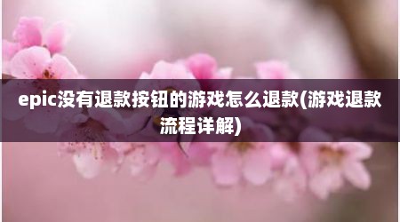 epic没有退款按钮的游戏怎么退款(游戏退款流程详解)
