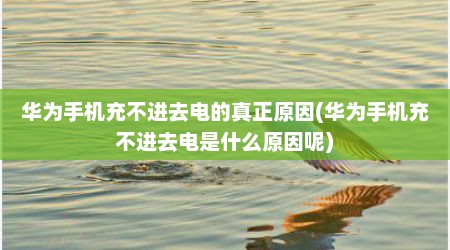 华为手机充不进去电的真正原因(华为手机充不进去电是什么原因呢)