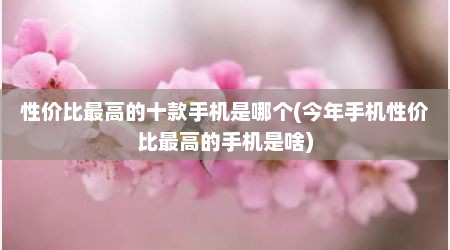 性价比最高的十款手机是哪个(今年手机性价比最高的手机是啥)