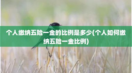个人缴纳五险一金的比例是多少(个人如何缴纳五险一金比例)