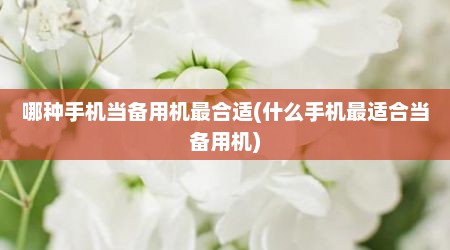 哪种手机当备用机最合适(什么手机最适合当备用机)