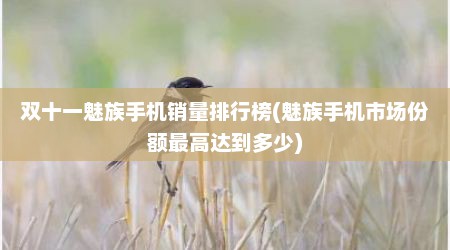 双十一魅族手机销量排行榜(魅族手机市场份额最高达到多少)