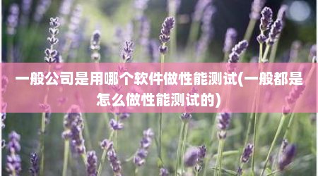 一般公司是用哪个软件做性能测试(一般都是怎么做性能测试的)