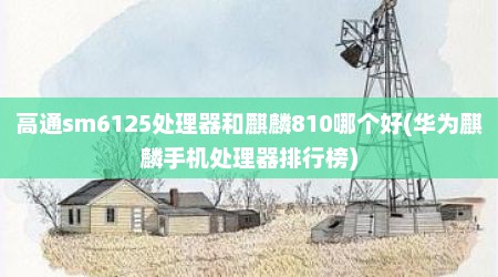 高通sm6125处理器和麒麟810哪个好(华为麒麟手机处理器排行榜)