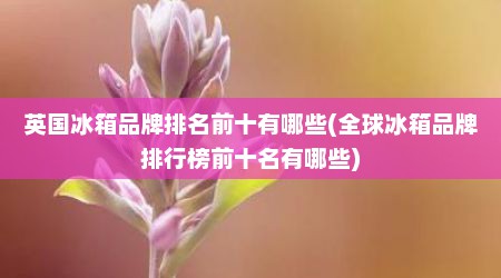 英国冰箱品牌排名前十有哪些(全球冰箱品牌排行榜前十名有哪些)