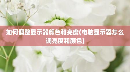 如何调整显示器颜色和亮度(电脑显示器怎么调亮度和颜色)