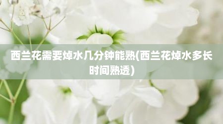 西兰花需要焯水几分钟能熟(西兰花焯水多长时间熟透)