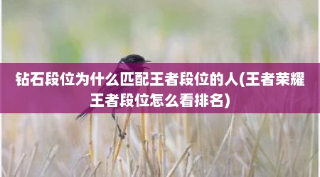 钻石段位为什么匹配王者段位的人(王者荣耀王者段位怎么看排名)