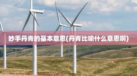 妙手丹青的基本意思(丹青比喻什么意思啊)