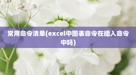 常用命令清单(excel中图表命令在插入命令中吗)